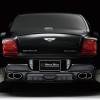 Bentley Continental Flying Black Bison