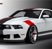 Mustang Raceskinz