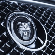 Jaguar Grille