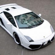 Lamborghini Gallardo White Edition