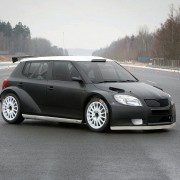 Skoda Fabia S2000