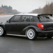 Skoda Fabia S2000