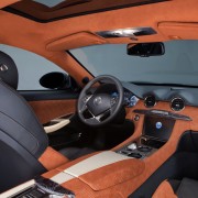 Fisker Surf