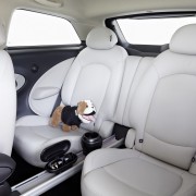 2013 Mini Paceman