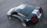 Shelby Wide Body Kit