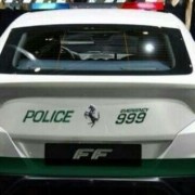 Dubai Police Ferrari FF