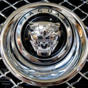 Jaguar logo