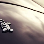 Wiesmann