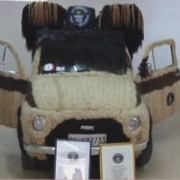 World Record Fiat 500